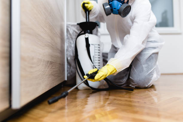 Best Wasp Removal Services  in Huntington Woods, MI