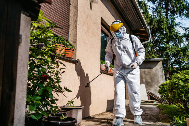 Best Local Pest Control Services  in Huntington Woods, MI