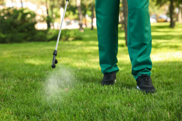 Best Pest Control for Restaurants  in Huntington Woods, MI