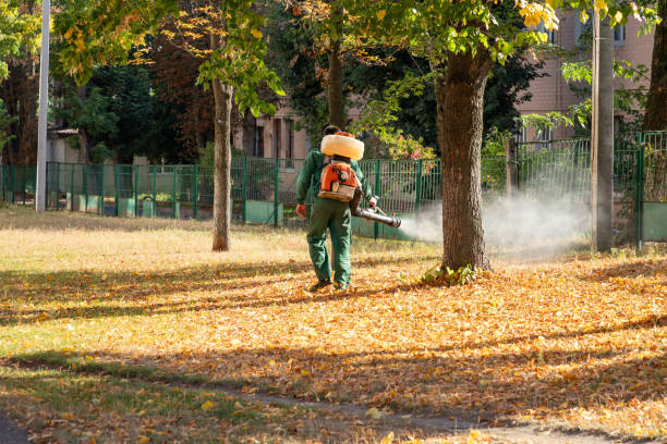 Best Bird Control  in Huntington Woods, MI
