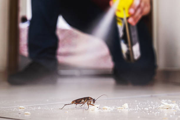 Best Pest Inspection Near Me  in Huntington Woods, MI