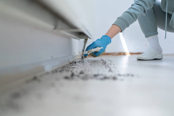 Wildlife Control Services in Huntington Woods, MI